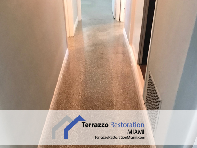 Terrazzo Floor polishing
