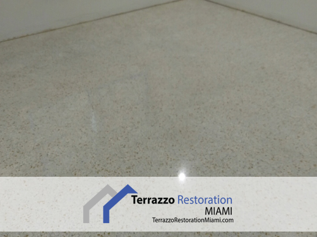 Terrazzo Care Service Miami