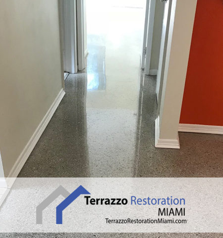 Terrazzo Clean Miami