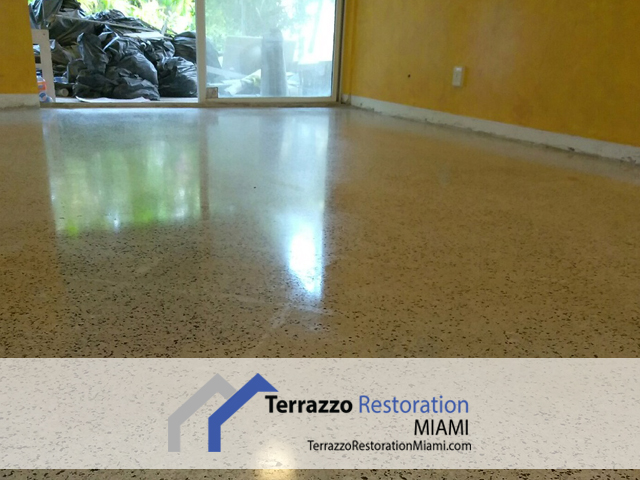 Terrazzo Clean and Polish Terrazzo Clean and Polish
