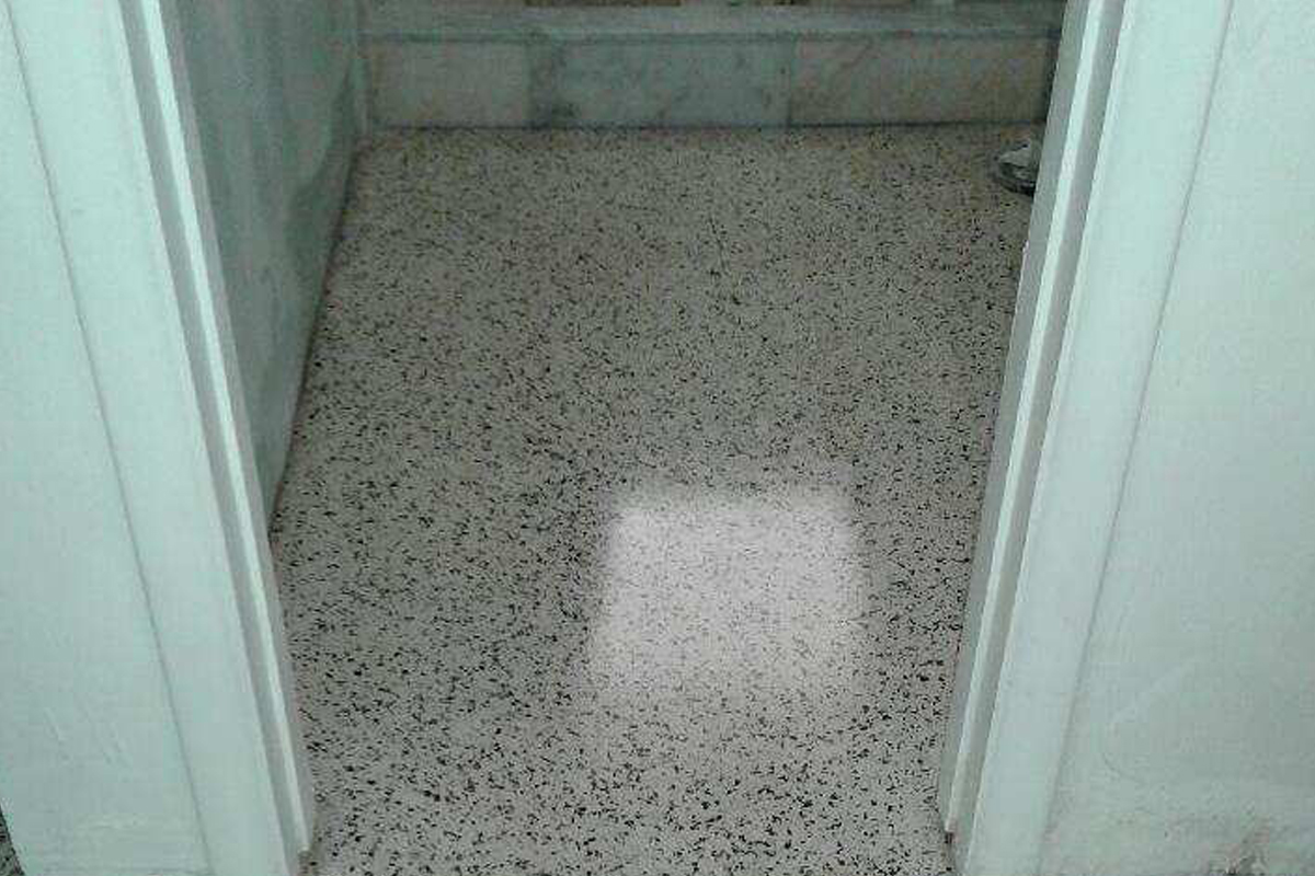 Terrazzo Restores