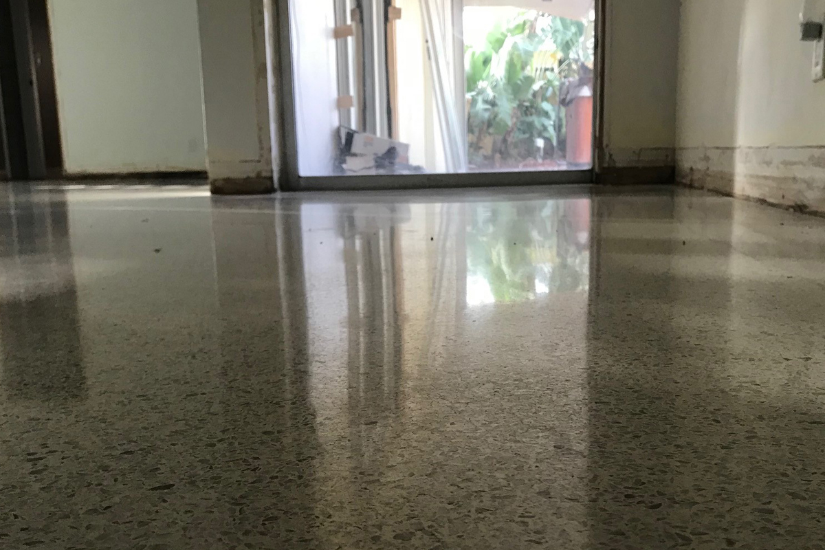 Terrazzo Polish Service