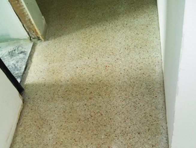 Terrazzo Polishers