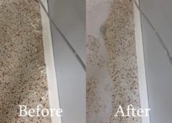 Terrazzo Restoration Service